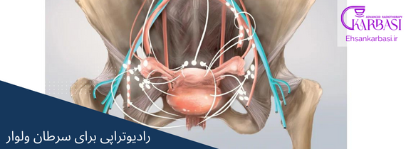 دکتر احسان کرباسی تصویر داخلی 2 7