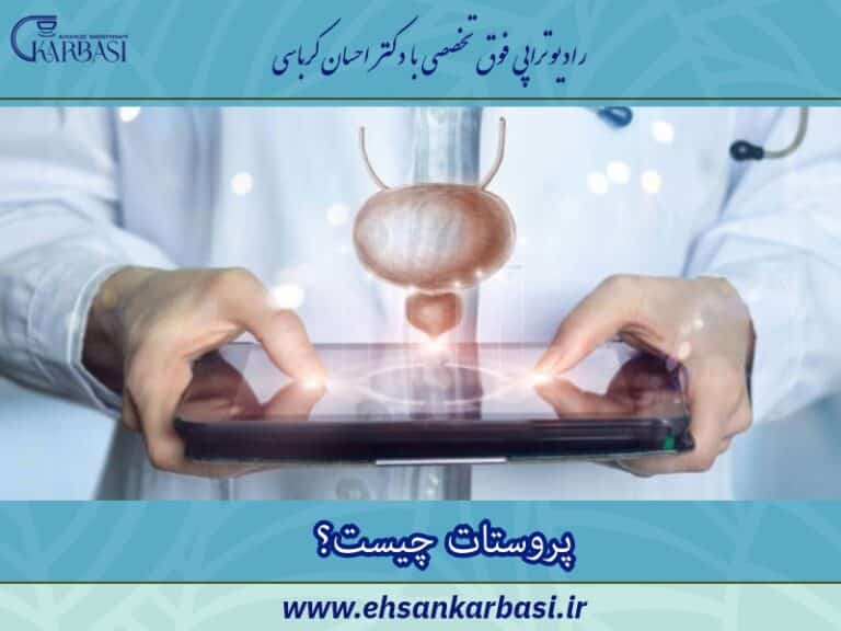 📘 پروستات چیست و چه نقشی در بدن دارد؟ راهنمای برای مردان 2 پروستات چیست؟